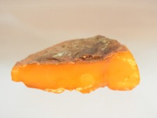 Schöner groß. Butterscotch