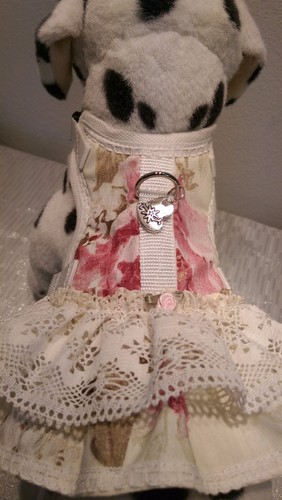 Hundegeschirr softgeschirr - hundegeschirr, xs