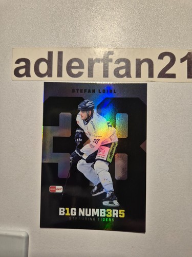 Del 2025 2026 big - del,