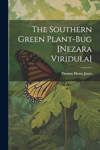 Southern green plant - green, plant-bug
