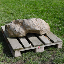 Muschelkalk Felsen (LBH ca. 90