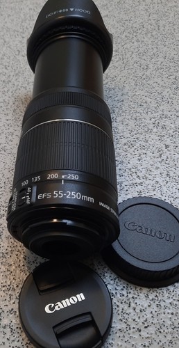 Canon 250mm 4 5 6 - canon, is