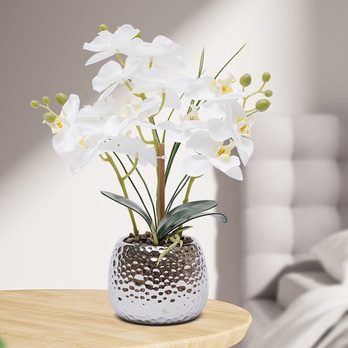 Künstliche orchidee topf - orchidee, im