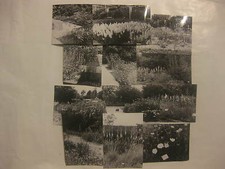 Erfurt Internationale