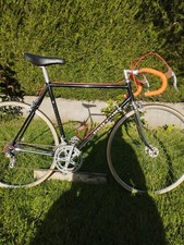 Fahrrad Zigeuner Trophäe