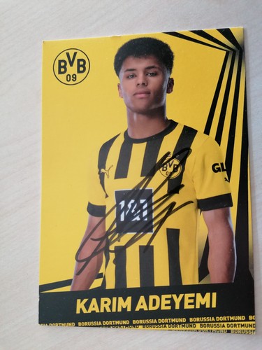 Karim adeyemi borussia - karim,