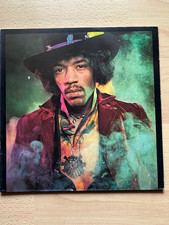 The Jimi Hendrix