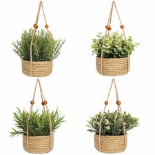 Hängepflanzen Dekopflanzen