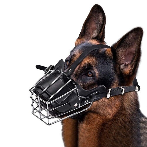 Xxl hund mund atmungsaktive - m-xxl,