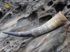 Trinkhorn 0,3 L natur rau