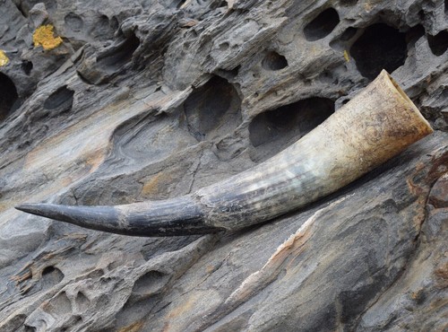 Trinkhorn natur rau - 0,3,