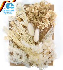 Trockenblumen Zum Basteln Natürliche Getrocknete Blumen Set Weiß Stil DIY Gemisc