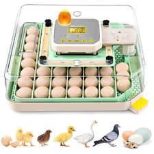 Inkubator Brutkasten