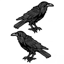 Krähe Rabe Stickerei Schwarz