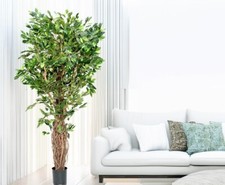 Ficus Benjamini Kunstbaum mit
