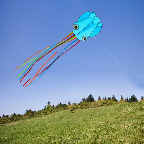 Set octopu kite octopus - kite,