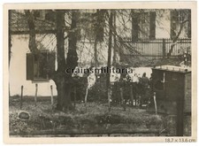 Orig. PRESSE Foto frz