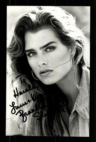 Brooke shields amerikanische - shields,
