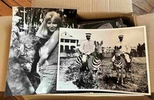 Alte Fotos (ein Karton voll