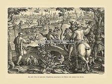 Falkenjagd Beizjagd Jagdfalken Reiher Falkner Kupferstich Stradanus A3 43