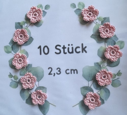 Rosa babyrosa 10 kleine - babyrosa,