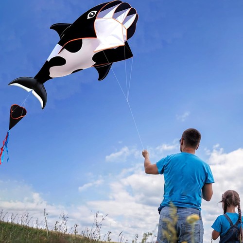 Orca killerwal lenkdrachen - orca,