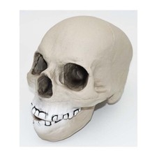 DEKO TOTENSCHÄDEL  Halloween