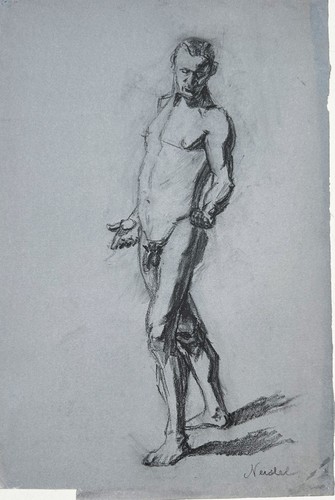 Männlicher akt stehend - akt, nude