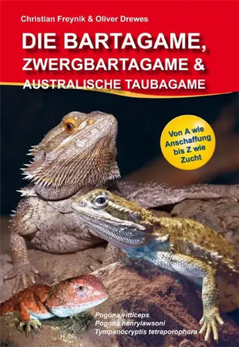 Die bartagame zwergbartagame - die,
