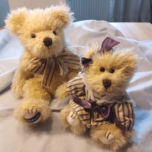 Bezauberndes teddybären paar - bezauberndes, teddybären-paar