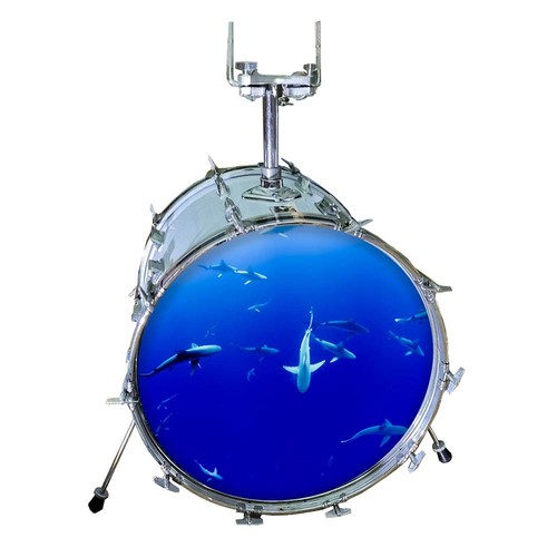 Bedrucktes bass drum - 24",