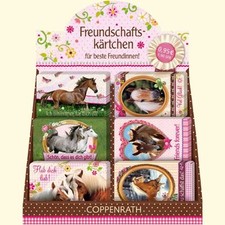 Coppenrath Verlag  - 1 Stck