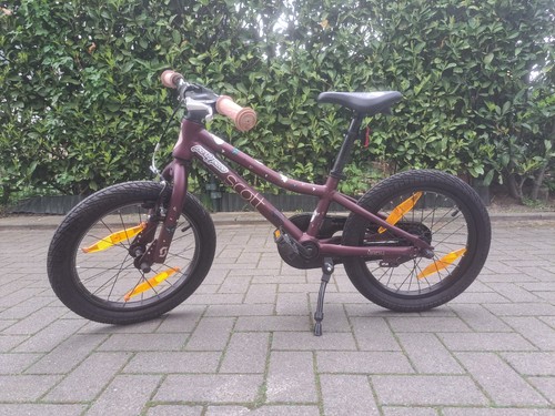 Scott contessa zoll - contessa,