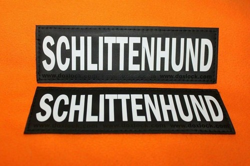 Neu schlittenhund 16 - ⭐, x