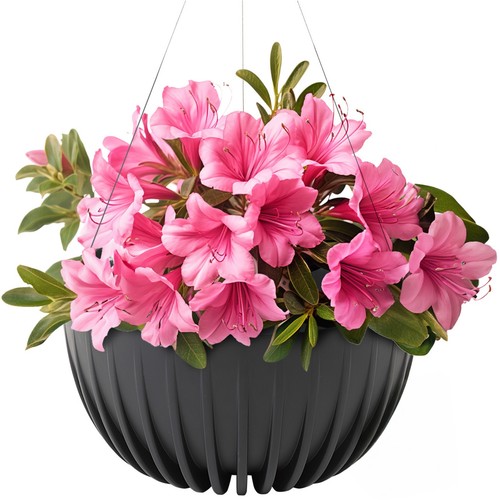 Blumenampel für innen und