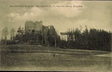 Ak Burgstein Weischlitz im Vogtland,  Ruine, Wald, Wiese,... - 4885947