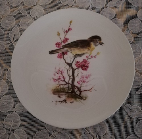 Sammelteller vogelmotiv - -,
