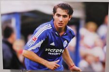 Postkarte FC Schalke 04 Hamit Altintop Sturm Sammler Fan Edition Lizenzware