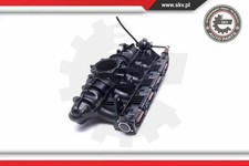 Ansaugkrümmer 49SKV059 ESEN