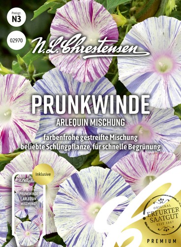 Prunkwinde arlequin mischung - prunkwinde,