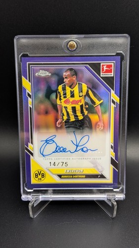 Ewerthon auto true purple - auto,
