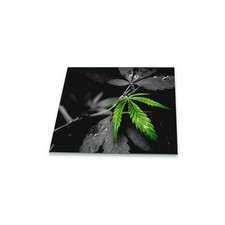 Herdabdeckplatte Ceran 1