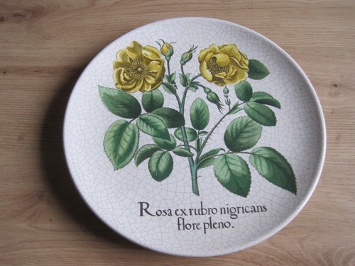 Karlsruher majolika hortus - karlsruher,