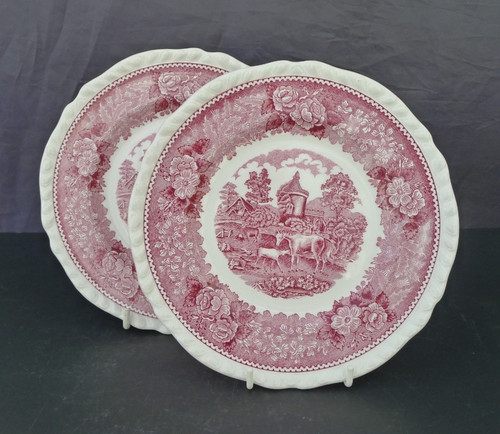 Adams english scenic rosa - 2,