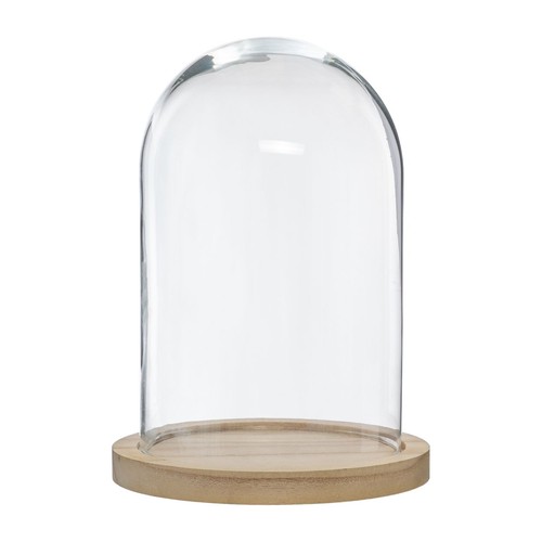 Glaskuppel mit holzsockel - glaskuppel,