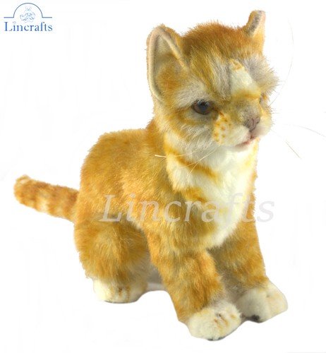 Hansa sitzende ingwerkatze - hansa,