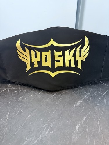 Wwe damen whc - whc, titel