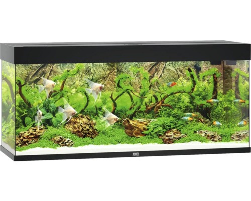 Aquarium juwel rio 240 mit - rio,