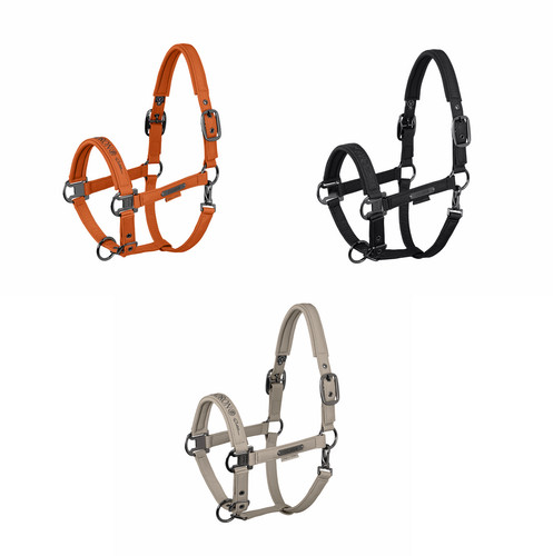 Halfter sparkle double pin - halfter,