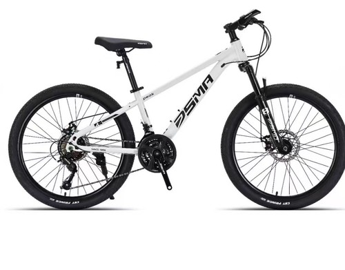 Mountainbike zoll jungen - 26,